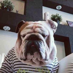 Руслан Лукоянов, 11.11.1989, Алматы