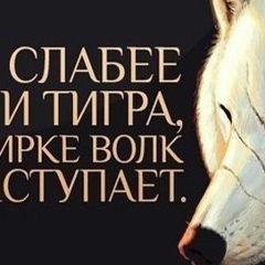 Данияр Алимбаев, 28.03.1984, Алматы