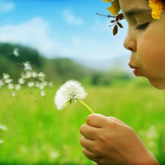 Павел Плис, 15.09.2008, Донецк