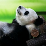 Андрей Дементиенко, 02.01.1990, Москва