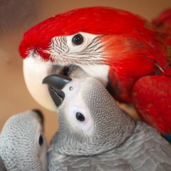 Юлия Туличева, Москва