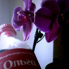 Ольга Миллер, 14.06