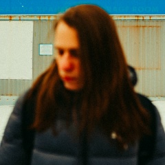 Илья Пешехонов, Великий Новгород