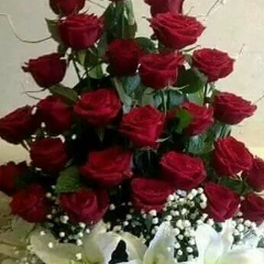 Dipesh Gandhi, 22.05.1968, Surat