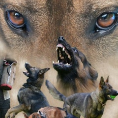 Янина Бойкова, 23.02, Киев