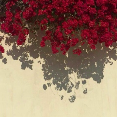 Икматали Абдыразак, 27.05.1996