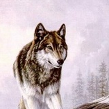 Азиз Азизбек