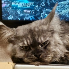 Валерия Николаевна, 05.05, Москва