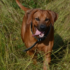 Юлия Власова, 29.03, Санкт-Петербург