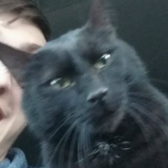 Саша Торч, 16.09.1991, Санкт-Петербург