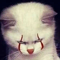 Настена Решетникова, 24.03, Екатеринбург