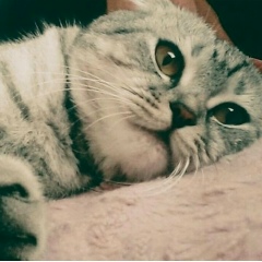 Раяна Матаева, 12.01.2012