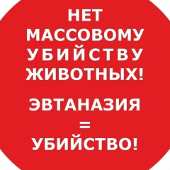София Вильдавская, 22.01, Санкт-Петербург
