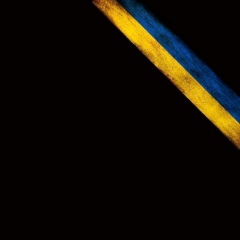 Ніка Сян, Львов