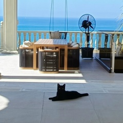 Ирина Ирина, 31.10, Красноярск