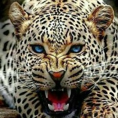 Алексей Колосов, Якутск