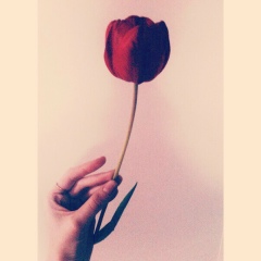 Алтын Нұрдаулет, Buenos Aires