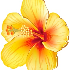 Арайка Арайка, 21.01, Астана