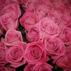 Гульзина Бообекова, 23.07, Бишкек