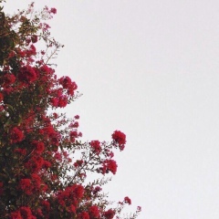 Эльдана С, 26.12