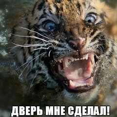 Юрий Юрьев, Благовещенск