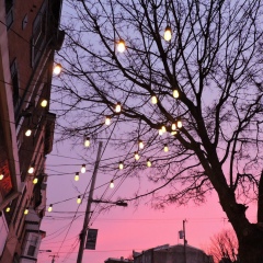 Аида Бакытова, 13.08, Алматы