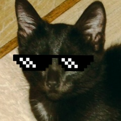 Тимур Янбеков, Boston