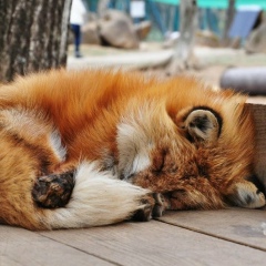 Катя Камынина, 07.03, Москва