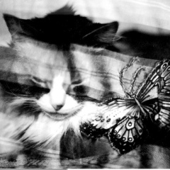 Дмитрий Грозный, 03.04, Курган