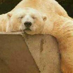 Rashid Uzakbaev, 12.02.1984, Жаслык