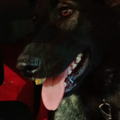 Владимир Жигайлов, 28.01, Сургут