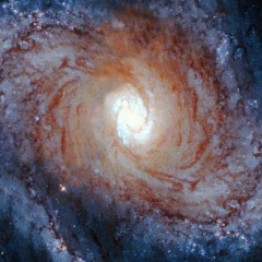 Zangar Tolekov, 08.11.1999, Chicago