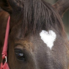 Гүлмаржан Қаттыбекова, 11.08, Алматы