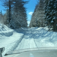 Алексей Пак, 21.10.1983, Уссурийск