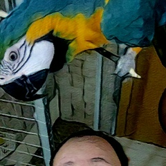 Илья Прокопенко, 11.02, Санкт-Петербург