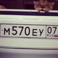 Ruslan Nurkeev, 30.09, Павлодар