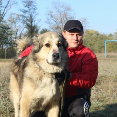 Денис Деев, 28.04