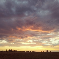 Тайга Фурукава