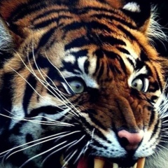 Мухтар Елемесов, 04.02.1989, Актау