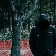 Андрей Боровик