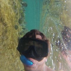 Алексей Жуков, Москва