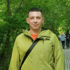 Дмитрий Карасёв, Курск