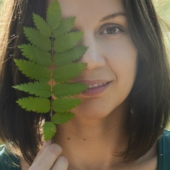 Lili Ah, 11.05
