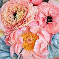 Дарига Аталикова, 05.11, Актау