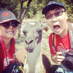 Дмитрий Скрябин, 17.12.1985, Auckland