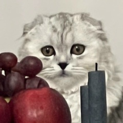 Арсен Зубайруев, 19.11.1995, Москва