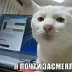 Кирилл Кириллов, 06.06, Санкт-Петербург