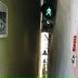 Елена Ивлева, 30.01.1958, Москва