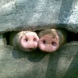 Нина Огай, 28.03, Санкт-Петербург