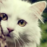 Оксана Лапина, 24.06, Москва